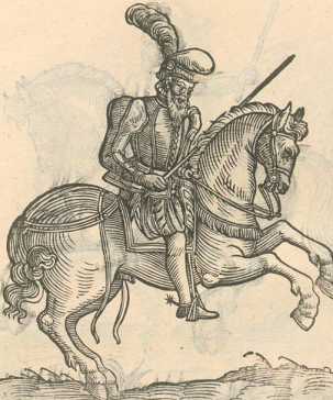 Figura din