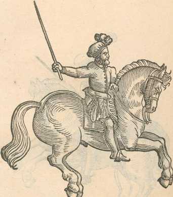 Figura din