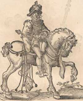 Figura din