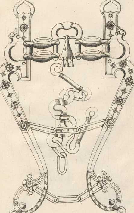 Figura da