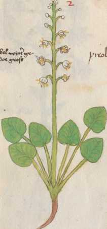 Illustration 2 (96)
