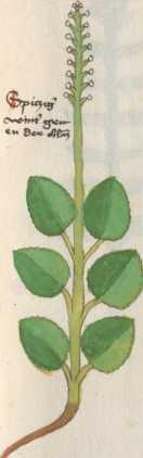 Illustration 4 (98)
