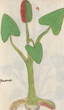 Illustration 9 (103)
