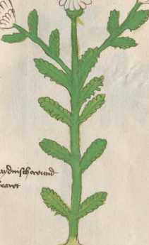 Illustration 11 (105)
