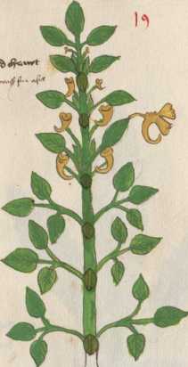 Illustration 19 (113)
