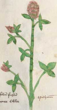 Illustration 90 (185)
