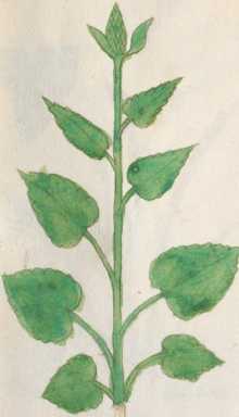 Illustration 92 (187)
