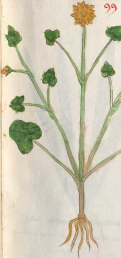 Illustration 99 (194)
