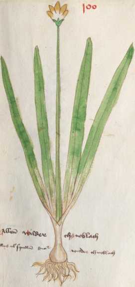 Illustration 100 (195)
