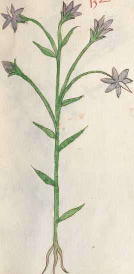 Illustration 132 (227)
