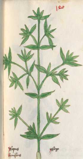 Illustration 140 (235)
