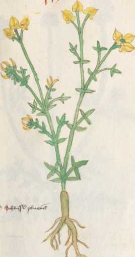 Illustration 159 (254)
