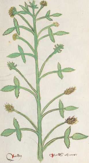 Illustration 190 (285)
