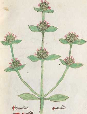 Illustration 192 (287)
