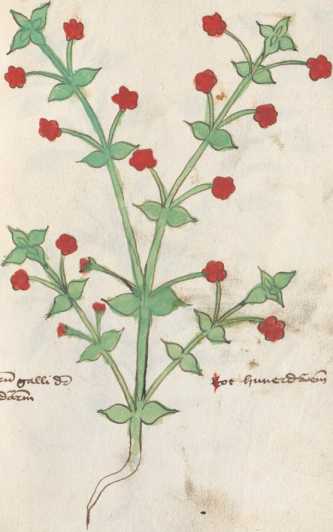 Illustration 194 (289)

