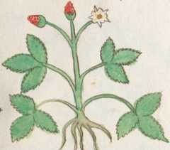 Illustration 179 din