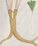 Illustration 122 (217)
