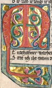 Rankeninitiale in Deckfarben und Gold: M...