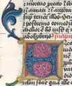 Schmuckinitiale E (219)
