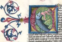 Historisierte Initiale E: Jona und der W...
