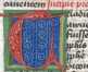 Schmuckinitiale T (245)
