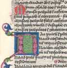 Damaszierte Initiale N (344)
