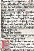 Damaszierte Initiale G (#)

