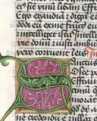 Schmuckinitiale S (239)
