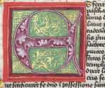 Initiale E mit Blütenranken (#)

