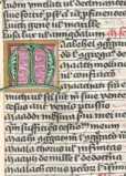 Damaszierte Initiale M (342)
