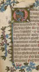 Marienlied.Initiale mit Arabesken (49v)
