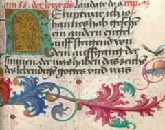 Initiale mit Rankenwerk (329r)
