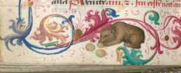 Initiale mit Rankenwerk (290v)
