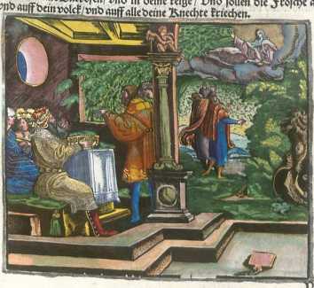 Kolorierter Kupferstich: Die zweite Plag...