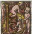 Initiale in Deckfarben und Gold: E
