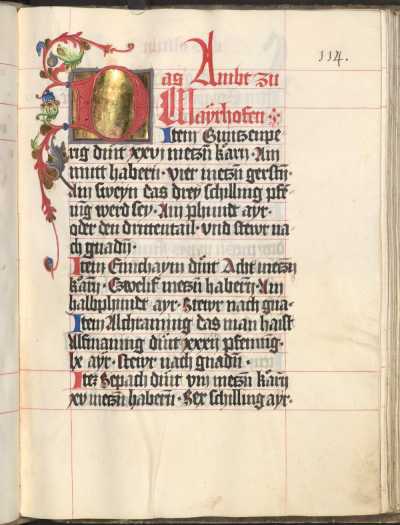 Das Ambt zu Mayrhofen (= ... from