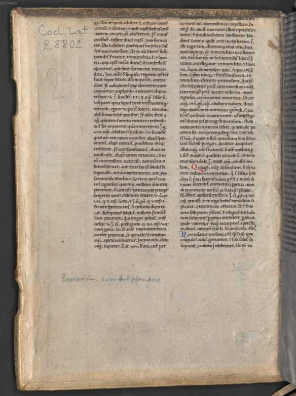 Vorderer Spiegel aus