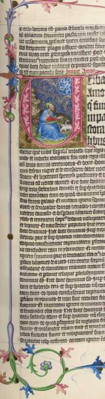 Amos als Hirte (317r)
