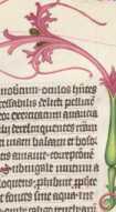 Johannes schreibend (430r)
