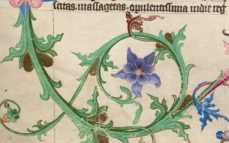 Der heilige Hieronymus schreibend (1r)
