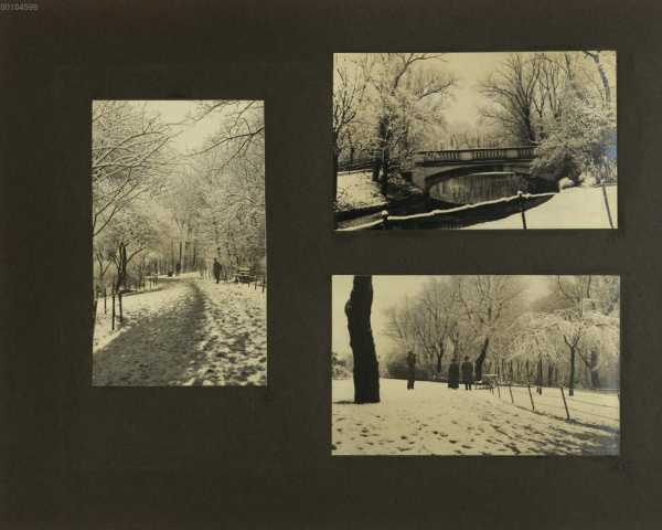 Bild 163-165: Park im Schnee ... from