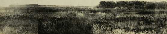 Bild 154-155 u. 150 [in Fortsetzung]: Ha...
