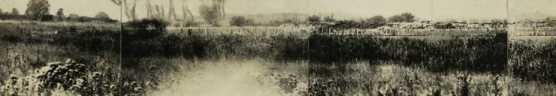 Bild 156-157 u. 150 [in Fortsetzung]: Os...