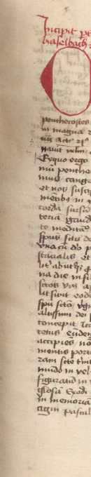 Thomas Ebendorfer de Haselbach: Sermones...
