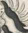 Wappen: Herrn v. Maechslrain din