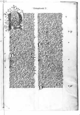 Initiale mit Blütenranken uit