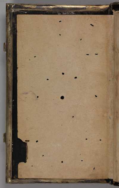 vorderer Spiegel aus