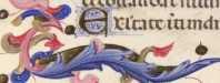 Zwei Initialen mit Miniaturen
