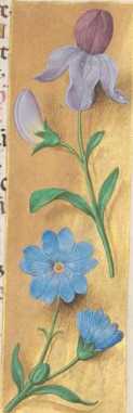 Initiale L(audate pueri dominum)Verzierte Randleiste ... from