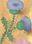Initiale L(etatus sum in hiis ... from